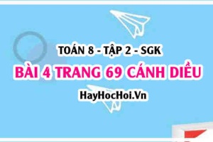 Bài 4 trang 69 Toán 8 Tập 2 Cánh Diều